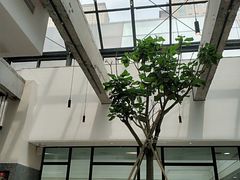 -大树餐厅(红旗街万达店)