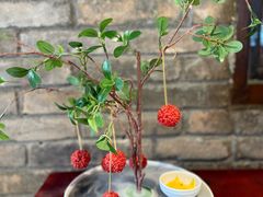 -味鼎长安·地道陕菜(凤城一路店)