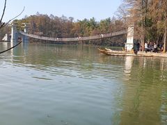 -东湖落雁景区