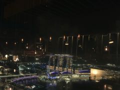 -新加坡瑞士史丹福酒店