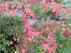 -热田神宫