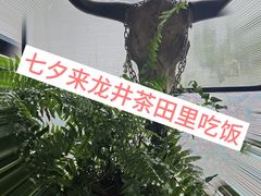 -野蔓果·山野菜(西湖景区·龙井茶田店)