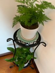 -梵未理疗瑜伽工作室