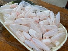 -章记正宗南岗鱼蛋火锅