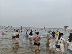 -碧海金沙