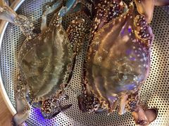 -船梆煮•蒸汽海鲜·炉火烤肉(五四广场店)