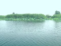 -白洋淀风景区