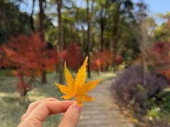 -广州市石门国家森林公园