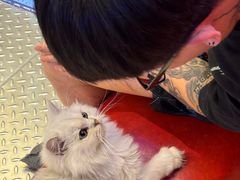 -满记甜品(王府井北京市百货大楼店)