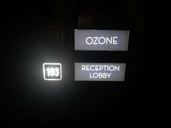 -OZONE 顶楼酒吧(香港丽思卡尔顿酒店)