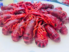 -杨氏青龙虾·羊蝎子(珠江路店)