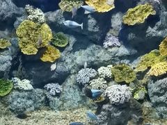 -福州罗源湾海洋世界旅游区