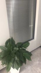 点击看大图 -悟空祛痘·诺奖技术专业店