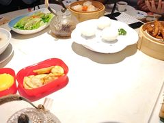 -点都德·毕德寮