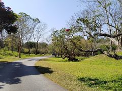 -中国科学院西双版纳热带植物园