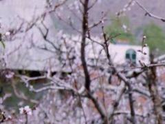 -河口景区