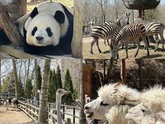 -大连森林动物园