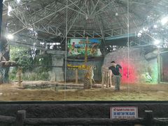 -清迈夜间动物园