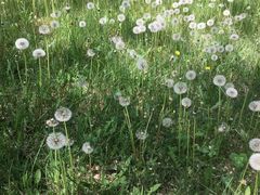 -水上乐园·欢乐世界