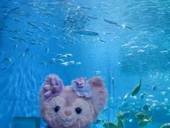 -北戴河圣蓝海洋公园