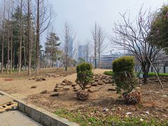 -后襄河公园