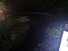 -汇雅温泉
