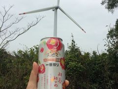 -南丫岛