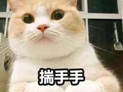 -火锅岛潮牌自助餐厅(天津天佑城店)