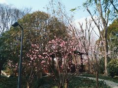 -和平公园