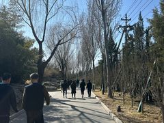 -丰台花园