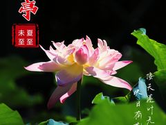-陶然亭公园