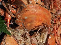 -一方渔歌蒸汽海鲜自助(文化路万达广场店)