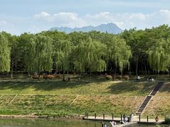 -洨河生态公园