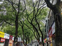 -岳麓山风景名胜区