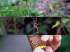 -国家植物园