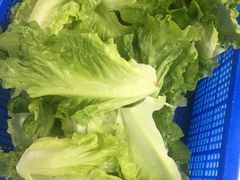 -化州颜勇牛腩(深圳总店)
