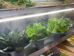 -老马路串串香火锅(北门桥店)