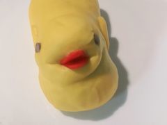 -皇城根·鲁菜济南菜·吊炉烤鸭·炒鸡鱼头(济南旗舰店)