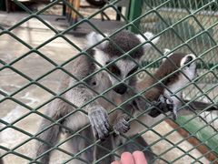 -水上乐园·欢乐世界