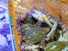 -海韵之星邮轮水会(明发商业广场店)