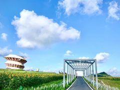 -光明小镇欢乐田园