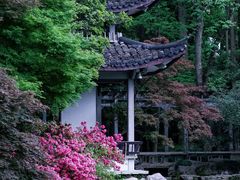 -杭州植物园