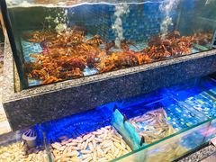 水产区-乾隆美食·本帮菜(黄河路店)