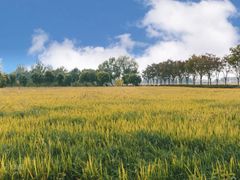 -广富林郊野公园