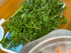 西洋菜-琼菜人家·海南菜·文昌鸡(文昌大道店)