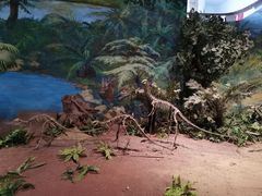 -自贡恐龙博物馆