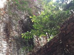 -小洲村