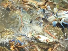 -Jomtien Talay Pao Pattaya