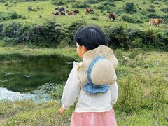 -大姆山草场