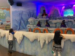 -帝企鹅自助餐厅•儿童岛•真企鹅(长隆企鹅酒店)